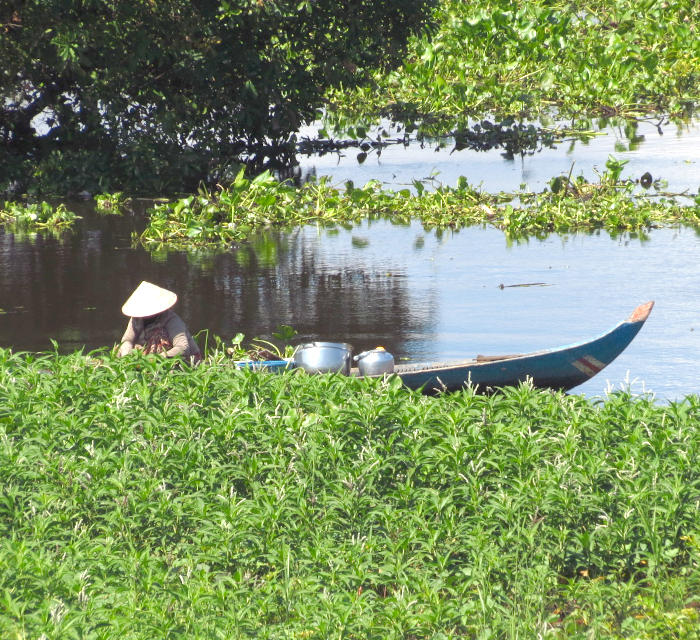 Tonle Sap Region