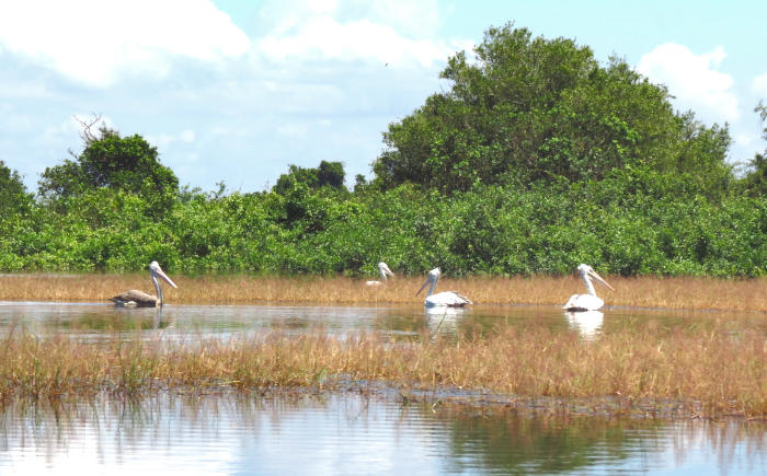 Tonle Sap Region