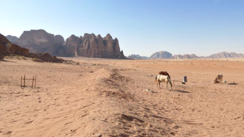 Wadi Rum